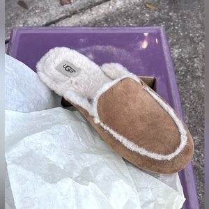 UGG slippers